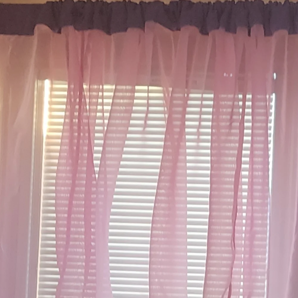 Pink Sheer Curtain - 1 panel